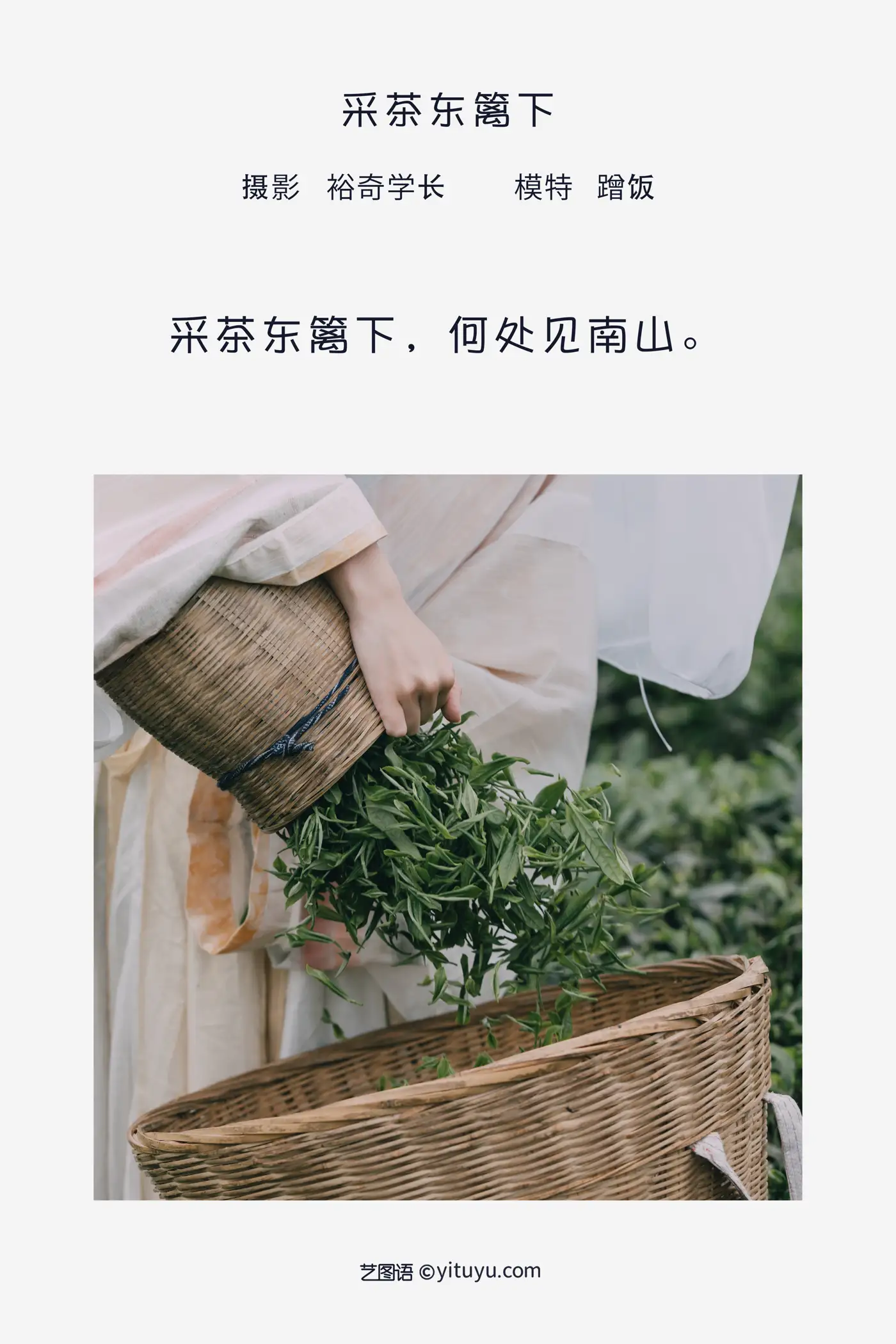 [YITUYU] 2022.05.12 Vol.855 – Tea picking under the east fence Eat for free#[20P]-2