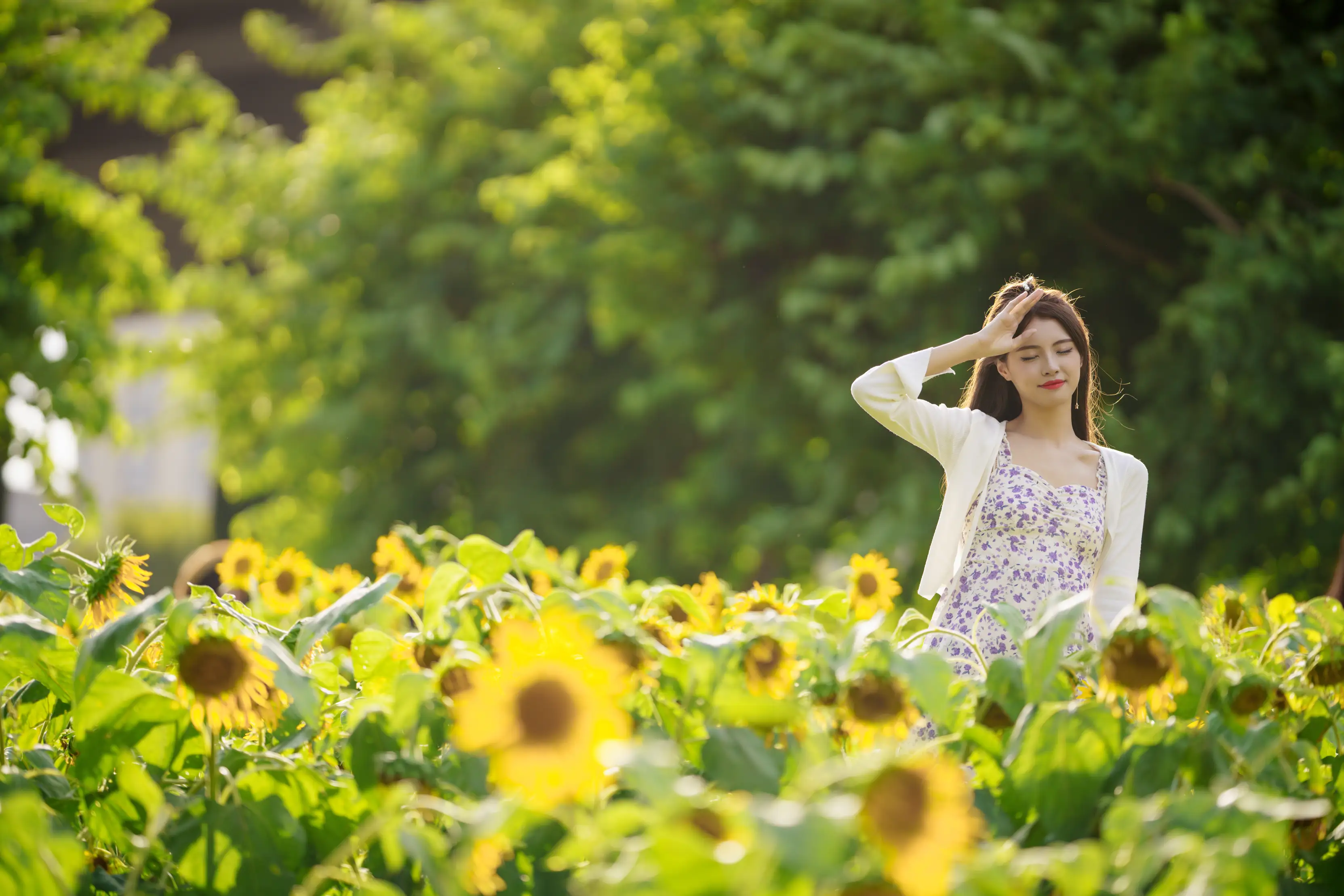 [YITUYU] 2021.12.30 Vol.554 – Sea of Sunflowers Teng Jing#[31P]-3